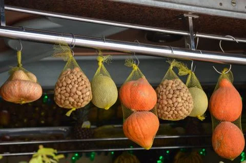 Hanging 写真素材