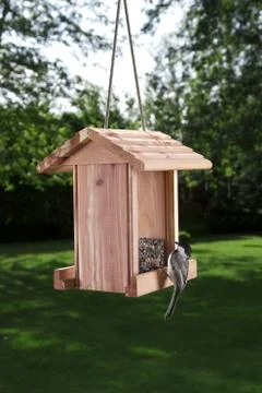 Hanging on Foto stock