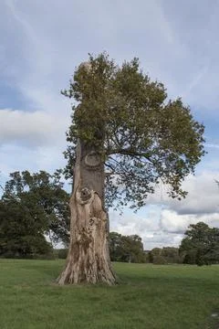 Hanging on Foto stock