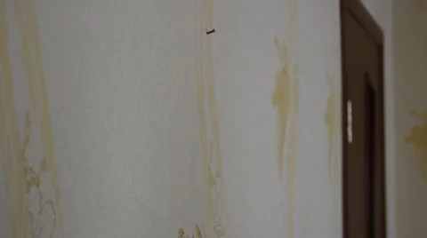 Hanging pictures on the wall Stock Footage 61905452