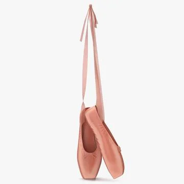 Hanging Pink Ballet Shoes 3D Model
