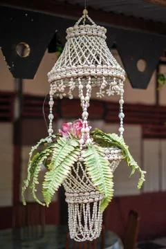 Hanging Plant Decor with Elegance Stock Photos