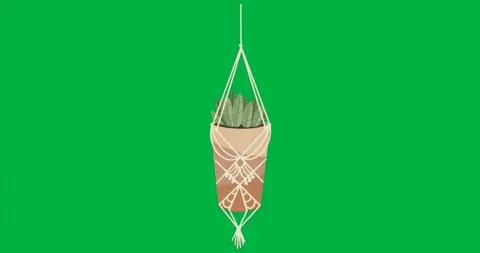 Hanging planter swaying on transparent background featuring macrame rope Stock Footage 317450072