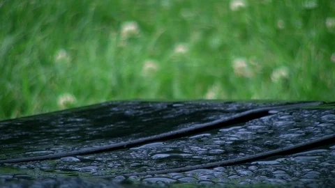 Hanging raindrops Stock Footage 119860590