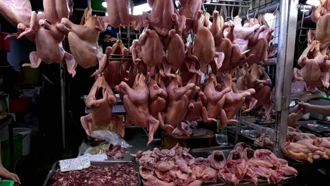 Hanging Raw Fresh Chicken in the Meat Shop in Marikina City Public Market Stock Footage 235884580