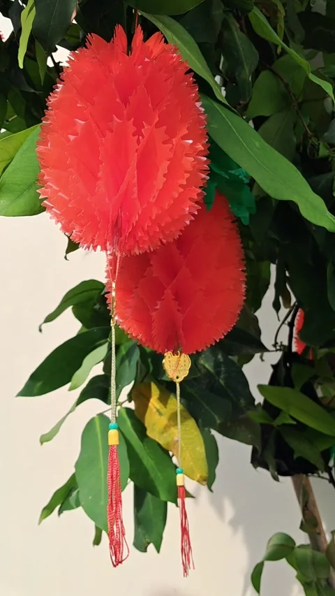 Hanging Red Paper Lanterns on Tree Vídeo Stock 331422013
