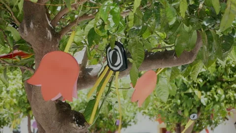 Hanging ribbons on a tree Stock Footage 223334222