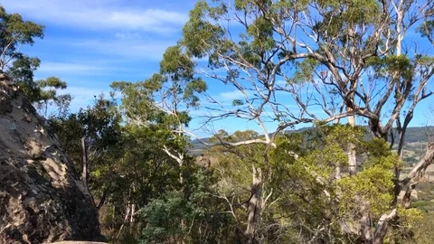 Hanging rock Stock Footage 119636389