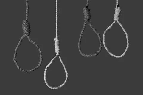 Hanging ropes with loops on grey background. Suicide concept Stock Photos