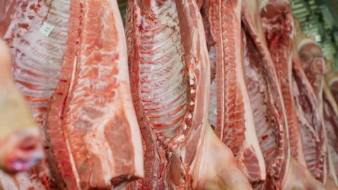 Hanging in rows meat pig carcasses in slaughterhouse in meat shop of food plant. Stock Footage 245483033