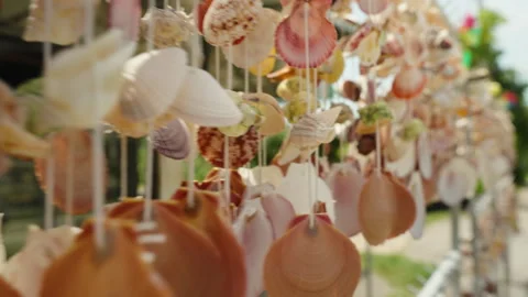 Hanging Seashell Ornaments Blurred Background Outdoor Market Display Close Angle Stock Footage 313255527