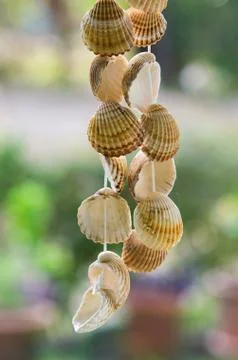 Hanging Seashells Stock Photos