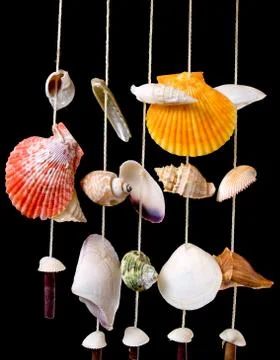 Hanging shells Stock Photos