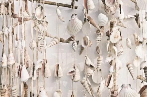 Hanging shells Stock Photos