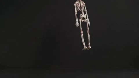 Hanging skeleton descends from top to bottom on black background.Happy Halloween Stock Footage 160521235