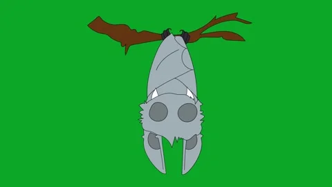 Hanging Sleeping Bat Upside Down Green Screen Loop - Branch and Cartoon Video stock 319405453