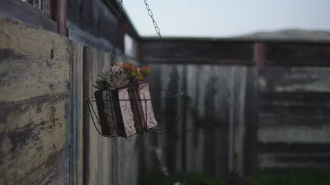 Hanging succulent planter swinging by a rustic fence Stock Footage 329637846