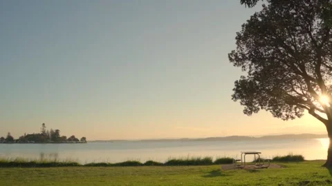 Hanging sun on tree Stock Footage 153098226