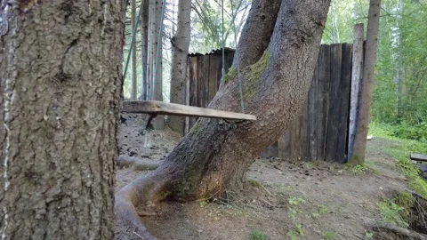 Hanging swing in the forest 動画素材 159663847