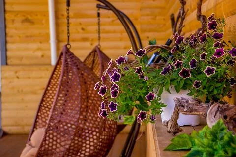 Hanging swing Stock Photos