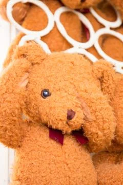 Hanging teddy bear Stock Photos