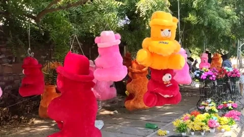 Hanging Teddy Bear toys on the tree along side the road Stock Footage 219531345