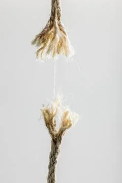 Hanging by a thread Stock Photos