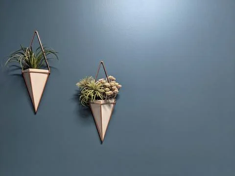Hanging triangle shape pot with plants on a blue background wall. Home decora Stock Photos