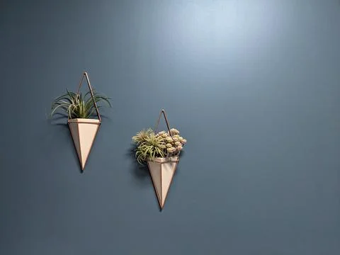 Hanging triangle shape pot with plants on a blue background wall. Home decora Stock Photos