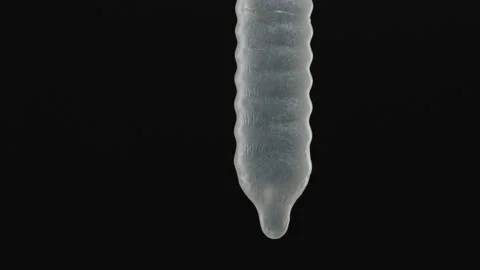 A Hanging Used Condom Highlighting Its Texture and Thin Material, Demonstrating Stock Footage 301078262