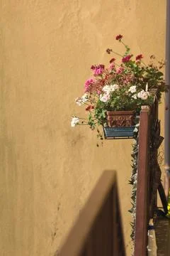 Hanging vase on a balcony Stock Photos