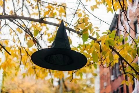 Hanging witch hat on a tree branch amid colorful autumn leaves in a quaint Foto stock