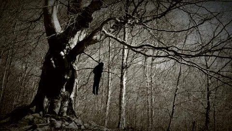 Hangman in gloomy forest Video stock 74393224