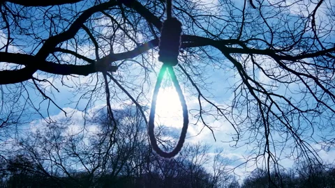 Hangman's knot or noose. Loop, rope hanging from tree in forest, suicide attempt Stock Footage 149318609