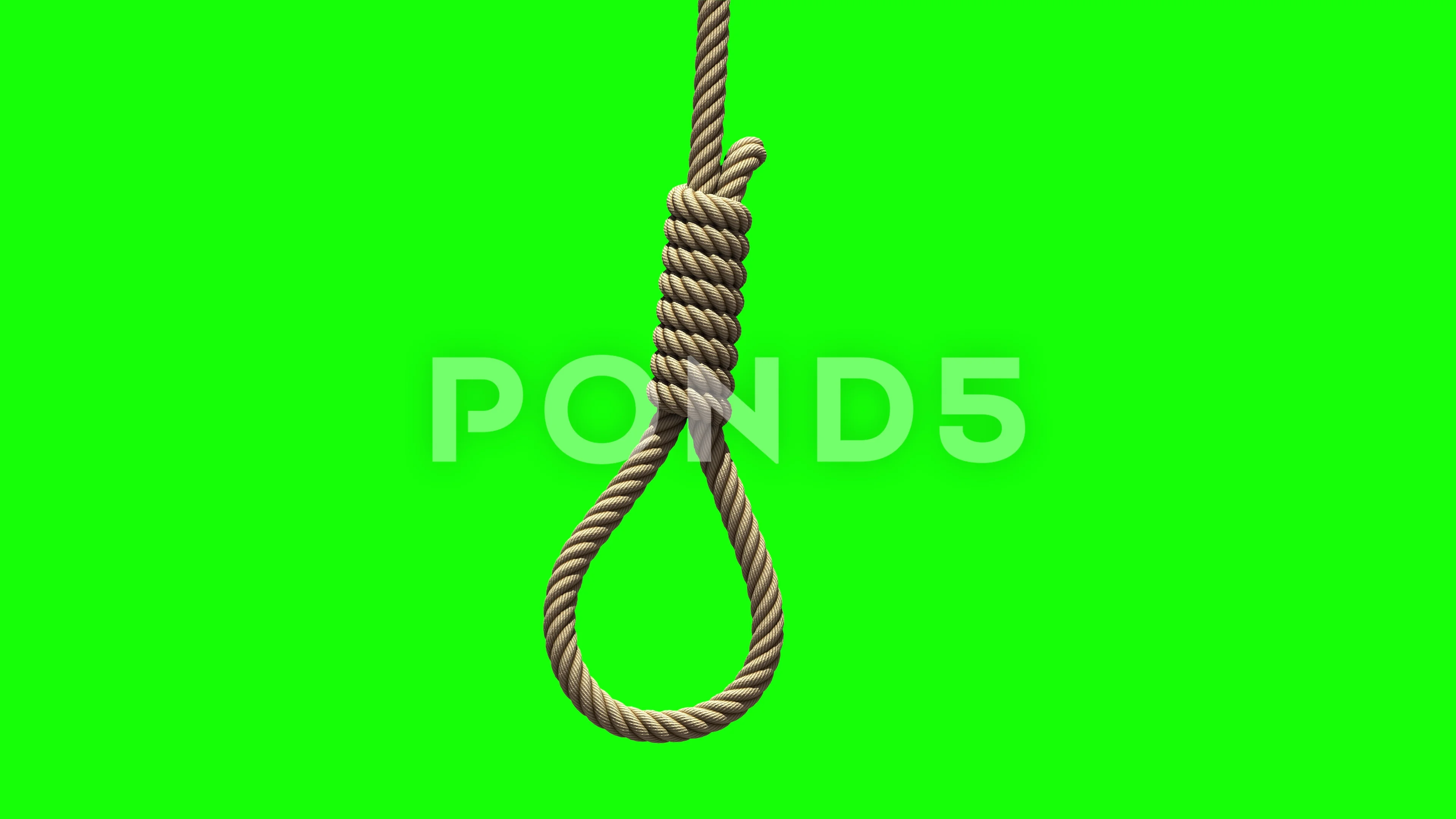 Noose gif