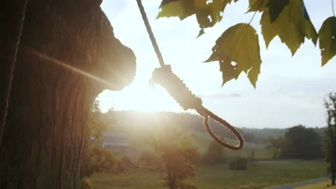 Hangman's noose swing on a tree Video stock 152182624