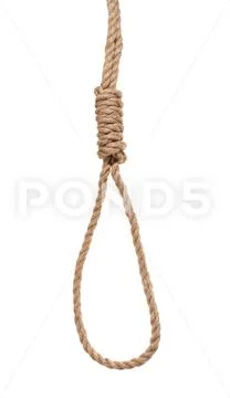 Hangman's noose from thick jute rope isolated Stock Photo #109625125