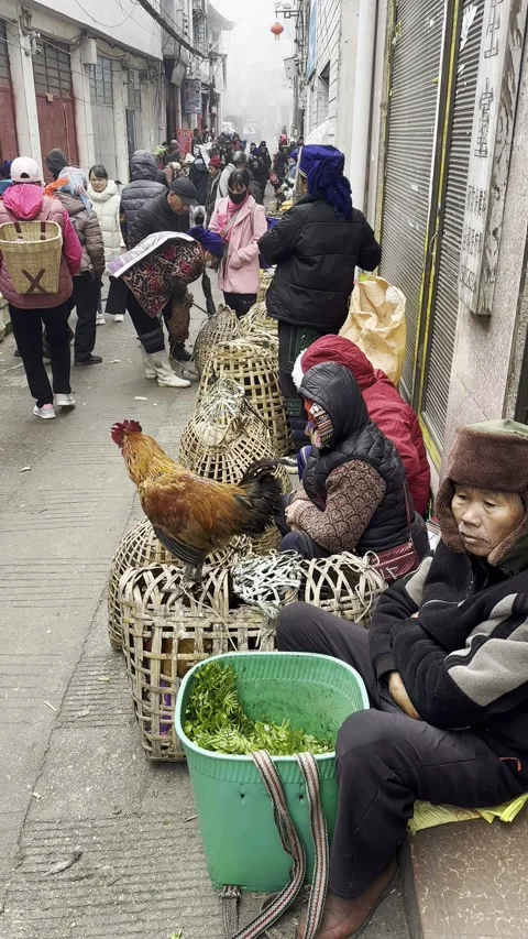 Hani tribe Chicken vendors Stock Footage 316453613