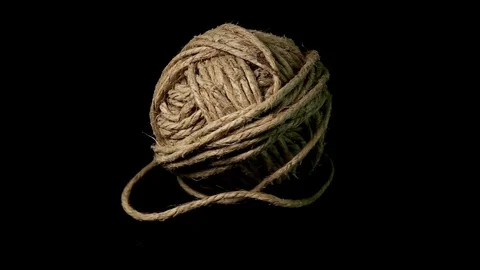 Hank Stock Footage 86749142