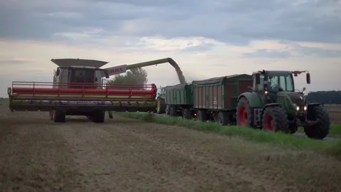 Hannover, Germany - August 08, 2017: Combine harvester unloaded corn grains in Video stock 82464207