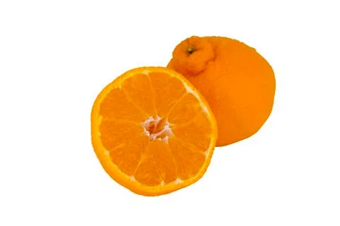 Hanrabong Stock Photos