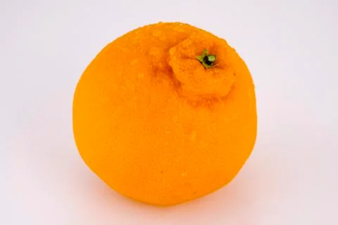 Hanrabong Stock Photos