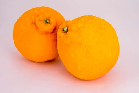 Hanrabong Stock Photos