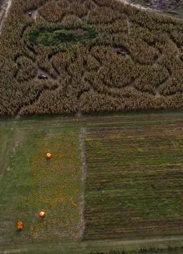 Hanson's Farm pumpkin patch and corn maze, Framingham, USA - 30 Sep 2022 Fotos de archivo