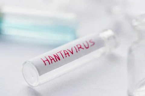 Hantavirus Background Stock Photos
