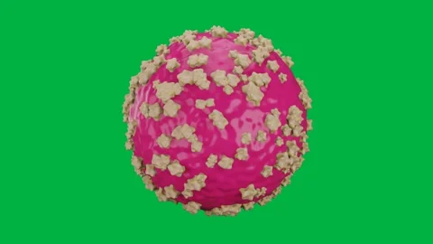 Hantavirus cell 3d animation illustrated with Pink sphere covered in beige .. Stock Footage 336160424