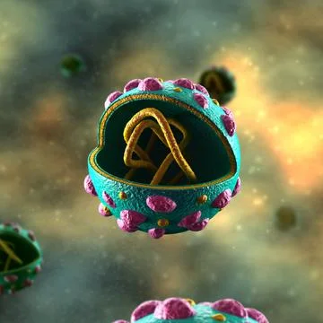 Hantavirus Cell - in fluid 스톡 일러스트