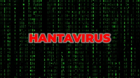 Hantavirus - Digital Matrix Code Background with Red Text Overlay. Stock Footage 340023697