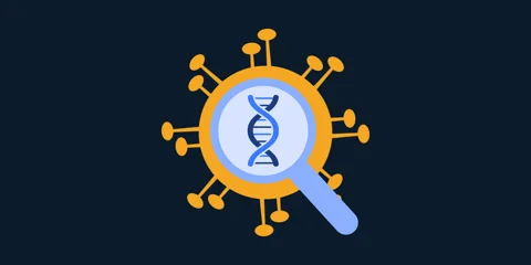 Hantavirus Genome Analysis Pathogen Sequencing Animation Video stock 336034857