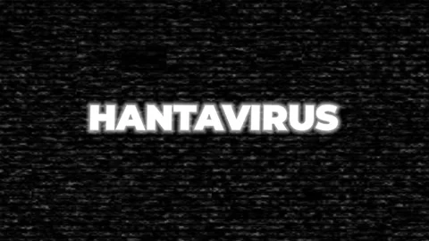 Hantavirus Glitch Text on Static Black and White Screen, Digital Virus Concep Stock Footage 340025233